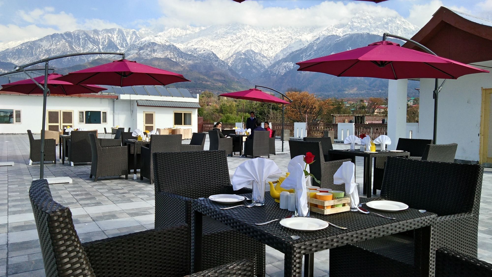 D'Polo Club & Spa Resort Dharamshala Dış mekan fotoğraf